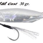 Duo Drag Metal Cast Jig 30 gr PDA0005 Silver Suni Balık Yemi