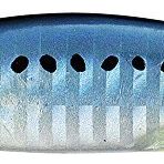 Duo Drag Metal Cast Slow Jig 20 gr Pha0011 Sardine Olta İğnesi