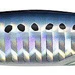 Duo PHA0011 Drag Metal Cast Jig 30 gr Sardine Olta İğnesi