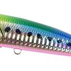 Duo Realis Fangpop Suni Yem