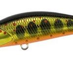 Duo Spearhead Ryuki 50S Takumi MCC4084 Gold Yamame Suni Balık Yemi