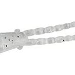 Duo Tetra Works Silikon Burny 42 mm S511 Silver Stardust Yem