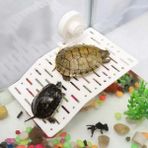 Duoliang Shop Stil 3 Stil Diğer Plastik Kaplumbağa Şamandıra Basking Platform Sunroof Teras Paletli Yüzen Ada Kaplumbağa Tırmanma Rampa Rafı Akvaryum Tankı Süsleri (Yurt Dışından) - Akvaryum Dekorasyonu