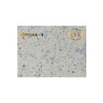 DURAKS Mintaka - 4 | Ipek Sıva & Canlı Sıva & Pamuk Sıva & Yalıtımlı Sıva