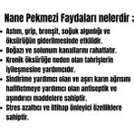 Durusoy Shop Center El Yapımı Nane Pekmezi 900GR - 900 gr