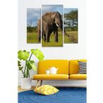 Düş Duvarı 3 Parça Afrika Safari Fil Desenli MDF Duvar Tablosu