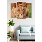 Düş Duvarı 3 Parça Aslan Desenli MDF Duvar Tablosu