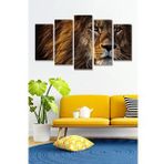 Düş Duvarı 5 Parça Asil Aslan Desenli MDF Duvar Tablosu