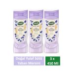 Duş Jeli Oatcare Yulaf Sütü Ve Yaban Mersini 450 Ml X 3 Adet