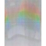 Duvar Paneli metal-Dekor Duvar Giydirmesi Wallface 10175 Deco Galaxy parlak kendinden yapışkanlı dekorasyonu gümüş | 2,60 qm