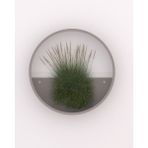 Duvara Asılan Teraryum Çiçek Saksısı - 20 CM - Gri