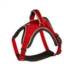 Duvo+ 40 50 cm West Harness Kırmızı Köpek Göğüs Tasması