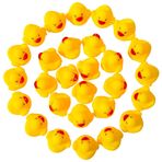 DZTIAN 31 Adet Çok Renkli Mini Çok Renkli Kauçuk Ördekler Bebek Banyosu Ducky Küvet Havuz Gıcırtılı Küçük Ördek Oyuncakları Duş/Parti Dekorasyon Malzemeleri/Doğum Günü için (4,1 cm x 3,8 cm x 3,0 cm)