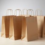 e ERTA Burgu Saplı Kraft Çanta 25X31 cm 15 Adet Hediye Poşeti , Hediye Paketi , Kraft Kağıt Çanta - 25 x 31 cm