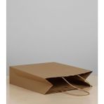e ERTA Burgu Saplı Kraft Çanta 25X31 cm 20 Adet Hediye Poşeti , Hediye Paketi , Kraft Kağıt Çanta - 25 x 31 cm