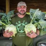 e-fidancim Ata Tohumları Geleneksel Giantl Kohlrabi (Alabaş) Tohumu (15 Tohum)