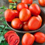 e-fidancim Ata Tohumları Geleneksel Roma Organic Domates Tohumu(20 adet)