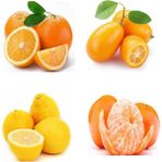 e-fidancim Bodur Narenciye Fidanı Paketi(Kamkat-Portakal-Limon-Mandalin) - yok