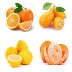 E-fidancim Bodur Narenciye Fidanı Paketi(Kamkat-Portakal-Limon-Mandalin)