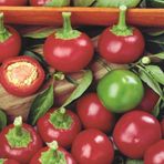 e-fidancim Geleneksel Acı Hot Cherry Tatlı Kiraz Biber Tohumu (50 tohum)