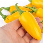 e-fidancim Jalepeno Yellow Çok Acı Biber Tohumu (15 adet)