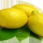 E-Fidancim Tüplü Aydın Limon Fidanı