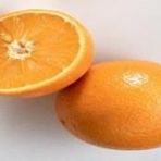 E-Fidancım Tüplü Rize Portakalı Fidanı