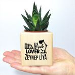 E-Hediyeci Kişiye Özel Book Lover Ahşap Küp Saksı ve Haworthia Sukulent - MK10