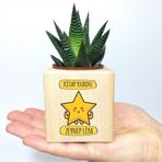 E-Hediyeci Kişiye Özel İsim Kitap Kurdu Temalı Küp Saksı ve Haworthia Sukulent - MK05