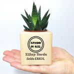 E-Hediyeci Kişiye Özel İsimli Ahşap Küp Saksı ve Haworthia Sukulent - MK02