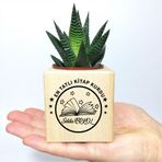 E-Hediyeci Kişiye Özel İsimli Kitap Temalı Küp Saksı ve Haworthia Sukulent - MK08