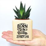 E-Hediyeci Kişiye Özel İsimli Kitap Temalı Küp Saksı ve Haworthia Sukulent - MK09