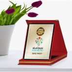 E-Hediyeci Yılın En İyi Bilgi İşlem Sorumlusu Kırmızı Plaket Ödülü