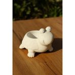 E Hobici Sevimli Kaplumbağa Saksı 10,5X9CM - - - Beyaz