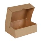 E Ticaret Karton Kargo Kutusu - 25x20x10-1,66 Desi (100 Adet)
