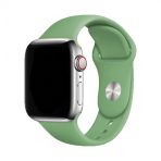 E2m Classıc Sılıkon Apple Watch Kordon 42-44-45-49Mm Yesıl