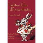 Eachtra Eilse i dTr na nIontas (Alice's Adventures in Wonderland in Irish) (Irish Edition) by Lewis Carroll(2007-12-21)