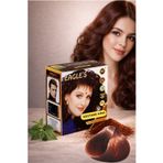Eagles Kestane Hint Kınası 6'lı Paket*10GR