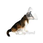 Eastland 12.5 cm Elizabeth Köpek Yakalık