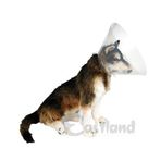 Eastland 20 cm Köpek Koruyucu Yakalık