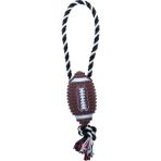 Eastland İpli Plastik Rugby Topu 15 cm Köpek Oyuncağı
