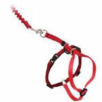 Easy Walk Cat Harness Kırmızı Kedi Gezinti Tasması