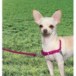 Easy Walk? Harness Pembe Köpek Göğüs Tasması Extra Large ( 86 - 117 cm)
