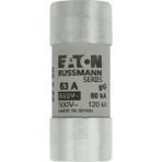 Eaton 22x58,gG/gL,690V,80kA-63A Silindirik Sigorta