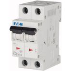 Eaton 286567 PL6-C16/2 2X16A C 6KA Otomatik Sigorta