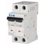 Eaton 6 Ka C Tipi 32A Otomatik Sigorta 2'li