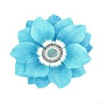 Eawfgtuw Yuvarlak Lotus Çiçekli Halı 40 x 40 cm Kadife Yumuşak Süper Emici Kaymaz Kauçuk Arka Zemin Paspası Mutfak Banyo Yatak Odası Oturma Odası Giriş için (Mavi)