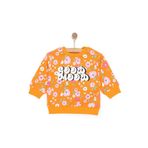 ebebek Hello Baby HelloBaby Kız Bebek Basic Sweatshirt Çiçek Desenli Çıtçıtlı Bisiklet Yaka Uzun Kol Karışık Renkli