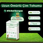 Ebitkisel Çok Yıllık Çim Tohumu 1 Kg Uzun Ömürlü 6'lı Karışım