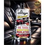 Ebrayn Premium Oto Araç Deri Plastik Kauçuk Vinil Koruyucu Protectant Bakım Kremi Üstün Koruma 200 ml